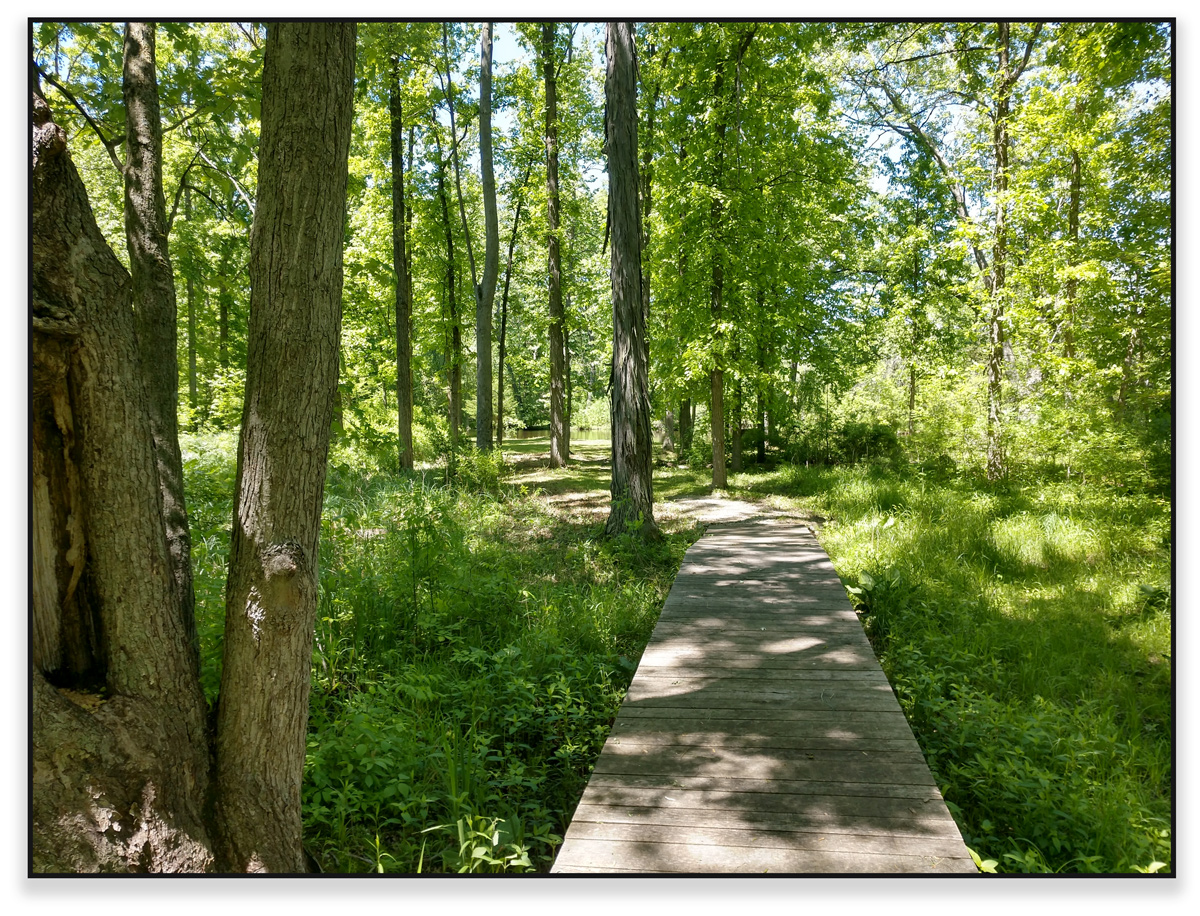 Image of boardwalk to riverside wedding area